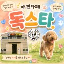 행복뽑기 | 화성 강아지와 가볼만한곳 실내외 다 갖춘 독스타 애견카페