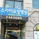 스카이요양병원 이미지