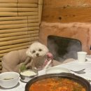 한식당토함 | 경주 맛집 애견동반 룸식당 토함 경주보문단지❤️