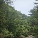좌운1리 마을회관 | 인제 아침가리계곡 트레킹 코스 주차 준비물 주의사항까지 총정리