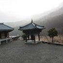 지곡사 Daum카페