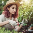 가위마당 - 서천군 | 가위마당