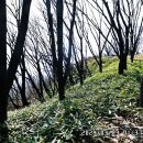 비봉산 정상부 이미지