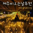 제주도 갈만한곳 아이랑 비오는날 실내여행지 제주 홀릭 뮤지엄