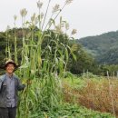 천의바람농장 이미지