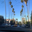 피 엘에이 이미지