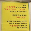 미미투어주