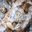 서해안마트 | 제철 서해안 알배기 활 쭈꾸미 주꾸미 샤브샤브 요리 후기