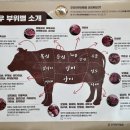 세종한우 이미지