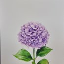 감성 수채화 이미지