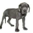 로얄동물메디컬센터 본원 이미지