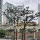 강서구 샷시 우장산 힐스테이트 아파트 창호 교체 후기로 본 창문 공사 전후