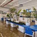 동화3안길-1 이미지