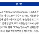 경두개 도플러 초음파 검사 지침서 (KJCLS) 이미지