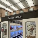 (주)씨즈코리아 | 워렌버핏이 선택한 악마의 캔디, 씨즈캔디 내돈내산 솔직 후기(초콜렛 맛 추천)