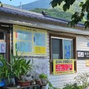 나리촌식당 | 울릉도맛집 산채정식 나리분지 맛집 나리촌식당 솔직후기