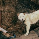 선바우농장 이미지