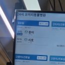 코끼리동물병원 | 전주에서 우리 애기 발치할 병원 고르기(이노, 아이들, 코끼리 동물병원) / 12살 노견 / 강아지치주염