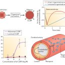 Re: 편두통의 원인 trigeminovascular hypothesis, CSD(대뇌피질확산성 억제) 치료 한약 최신 논문 탐구!! 이미지
