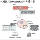 제대로만 바르면 습진-가려움도 안녕 1% 히드로코르티손 연고 이미지