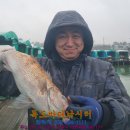 독도바다낚시터 이미지