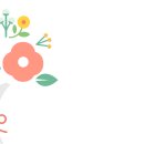 룸할인마트 이미지