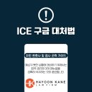 ICE 무작위 구금, 어떻게 대처해야 하나요? (Q&amp;A) 이미지