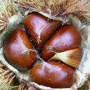 계해정한의원 이미지