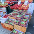 그린앤프레쉬