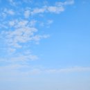 용호민박 이미지