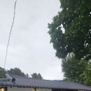 마당 현무암 부정형 공사입니다 이미지