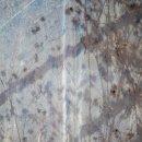 오룡골천 이미지