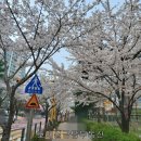 금곡동 중심상가 이미지