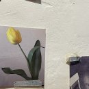 레이커피바 이미지