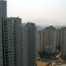 에버빌공인중개사사무소 이미지