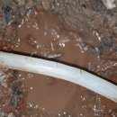 통점주차장 이미지