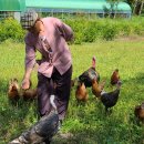 (주)참솔 이미지