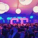 stadium of dogs 이미지