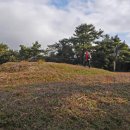 토산1리 이미지