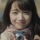 시절인연 이미지