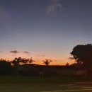 진우셀프주유소 | [뉴질랜드 일상] 2022년 5월 오클랜드 라이프 (미스터차콜 / 아롱사태수육전골 / 닥터스트레인지 2 / 금...