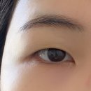 펠리시티1차 | 남악 네이비네이비 무쌍 속눈썹펌 후기