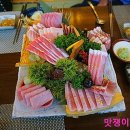 아오이참치 이미지
