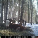 도도1농장 이미지