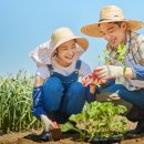 새마을농장 이미지