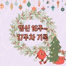 투다리월명점 | #8. 임신 16-17주차. #태아성별확인? #태동?