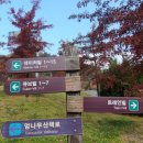 (주)하이원추추파크 이미지