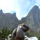 태양카서비스 | 울릉도 숙소 추천 코스모스 리조트 빌라쏘메 호텔 럭셔리 풀빌라 후기