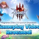 냥앤도그 이미지