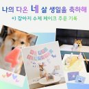네 살이 된 다온이, 강아지 모양 수제 케이크로 생일을 기록하다｜인천 송도 케이킁 후기